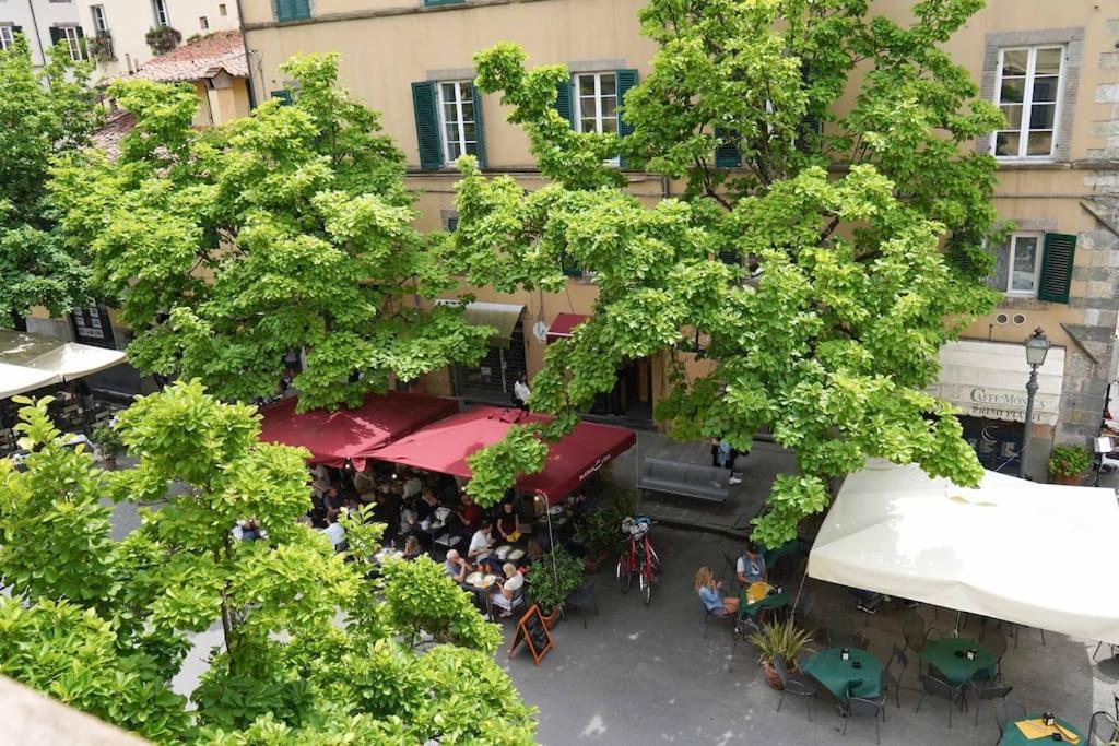 Yema Home-Lucca Kültér fotó